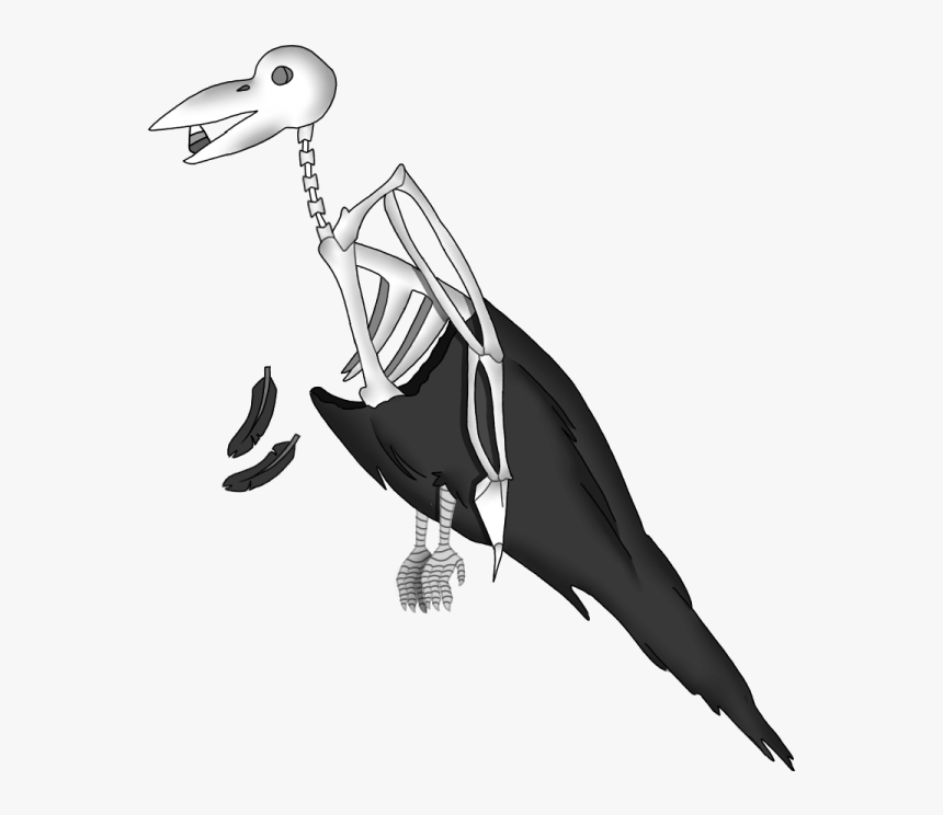 Illustration, HD Png Download