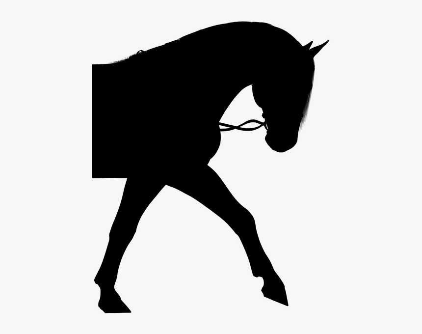 Horse, Silhouette, Pony, Bridle, Stallion, Animal - Girl On Horse Silhouette, HD Png Download