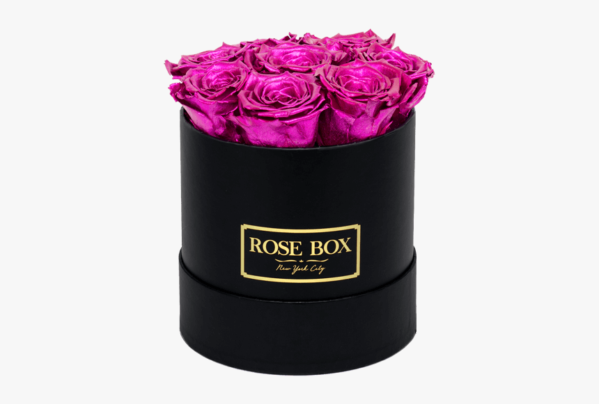 Garden Roses, HD Png Download