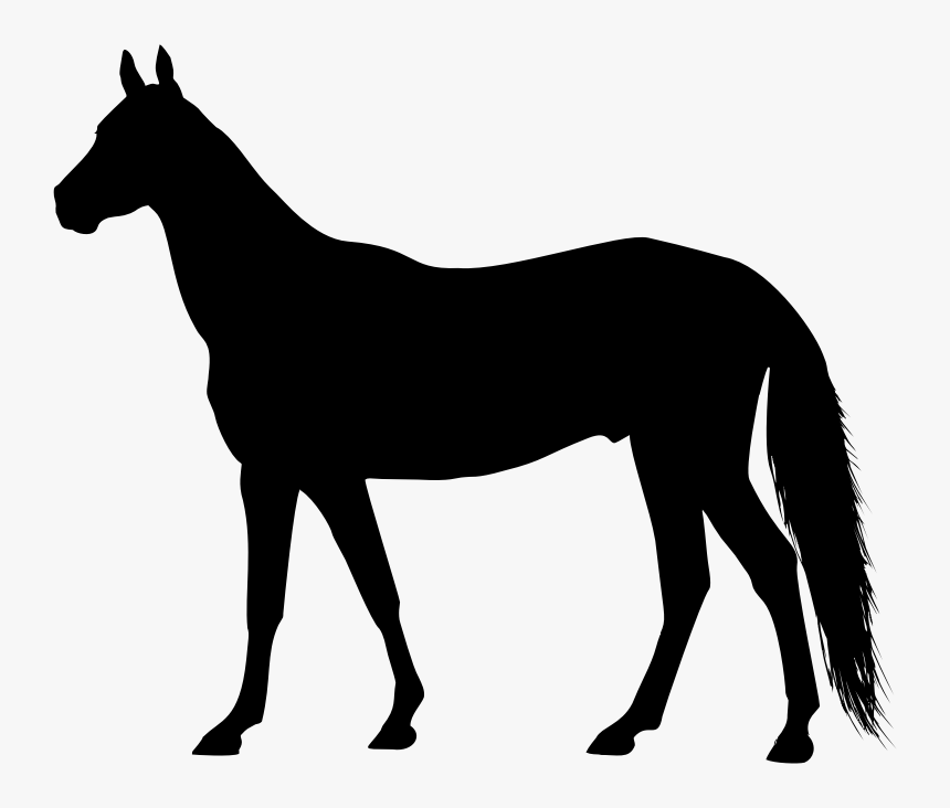 Left Facing Horse Silhouette - Horse Silhouette Clip Art Free, HD Png Download