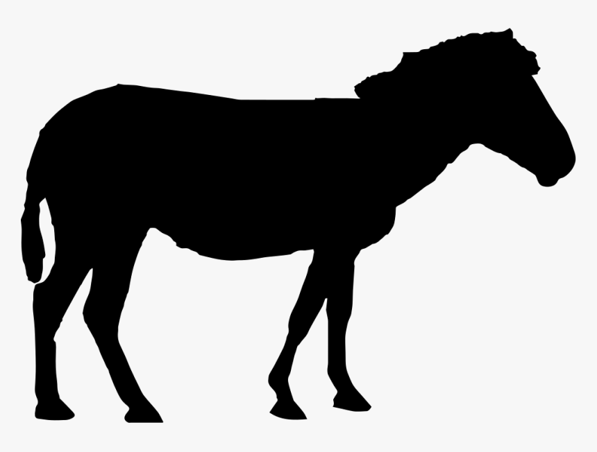 Horse Silhouette Comments - Horse Standing Silhouette, HD Png Download