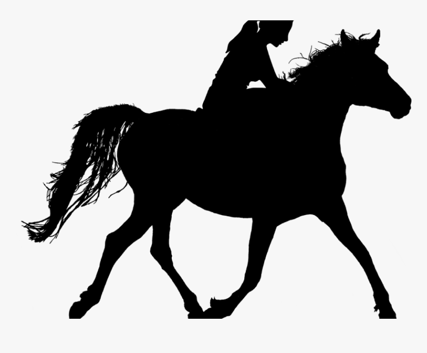 Horse, Riding, Silhouette, Ride, Stallion, Woman, Rider, - Girl Riding Horse Silhouette, HD Png Download
