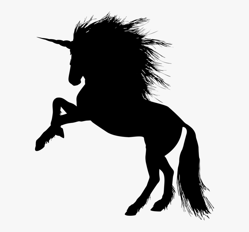Animal, Equine, Rearing, Horse, Silhouette, Ride - Rearing Unicorn Clipart, HD Png Download