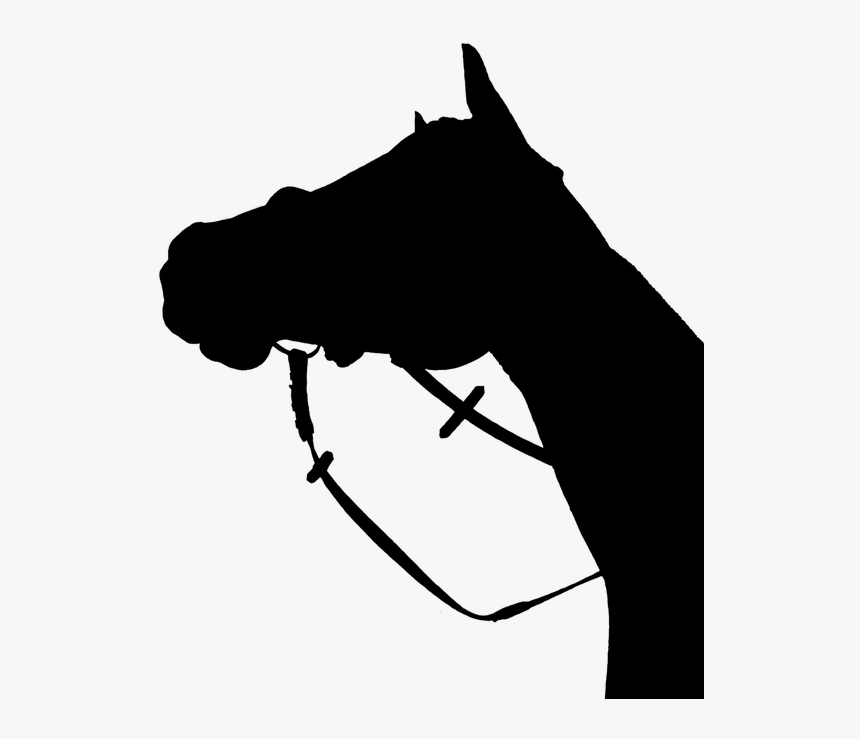 Horse, Silhouette, Black - Horse Head Silhouette Png, Transparent Png