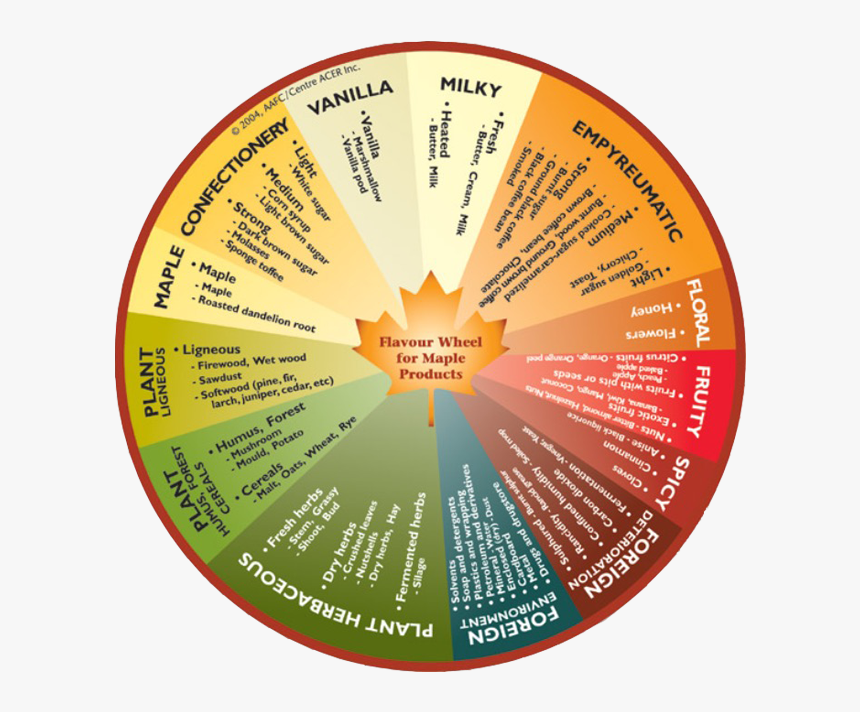 Ski S Sugar Shack Merrill Wi - Flavour Wheel, HD Png Download