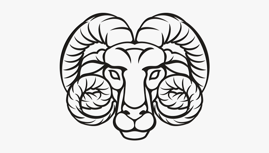 Line Art, HD Png Download