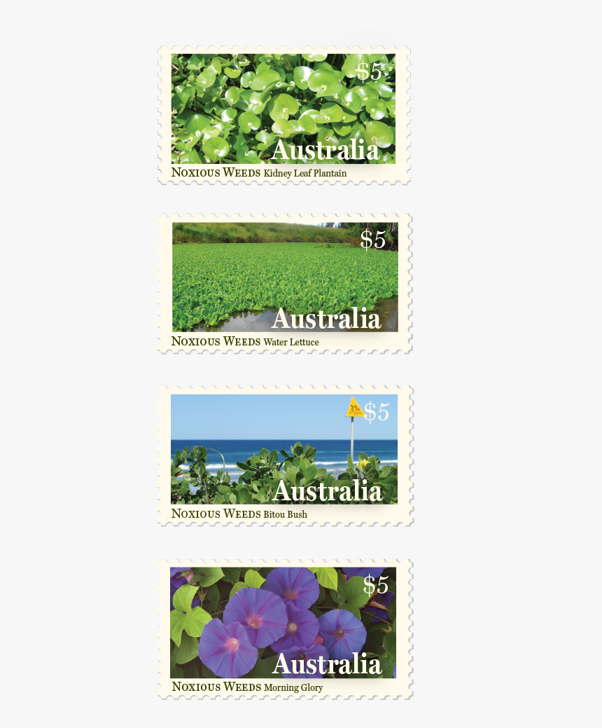 Postage Stamp Design Byron Bay Graphic Designs Loretta - Blue Violet, HD Png Download