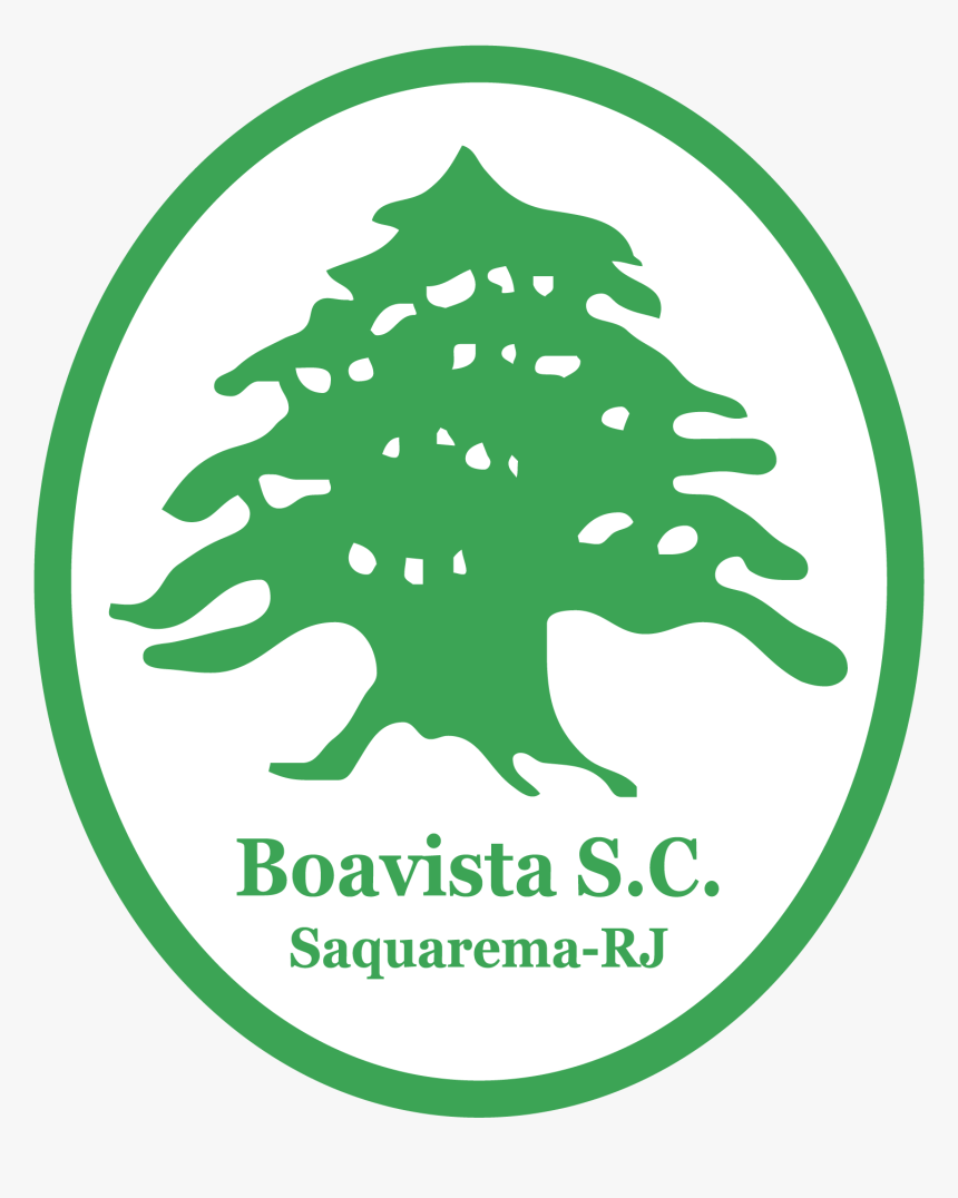 Brasao Do Boavista Rj, HD Png Download