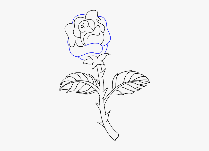 How To Draw Rose With A Stem - Draw A Rose With Stem, HD Png Download