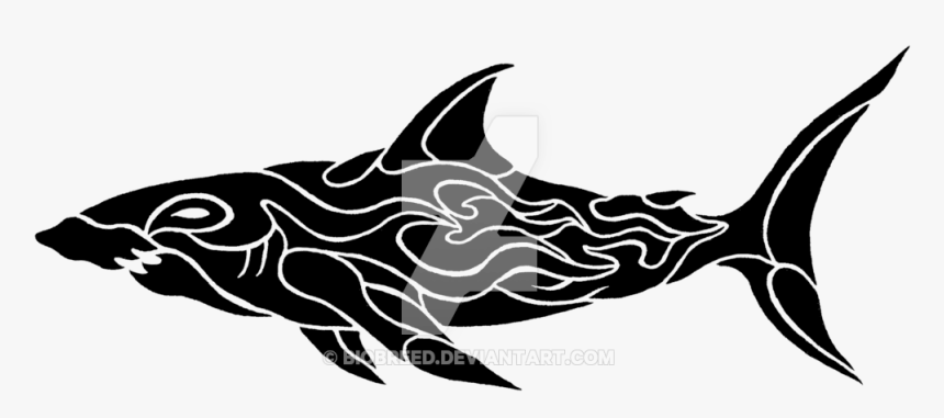 Shark Tattoo Transparent, HD Png Download