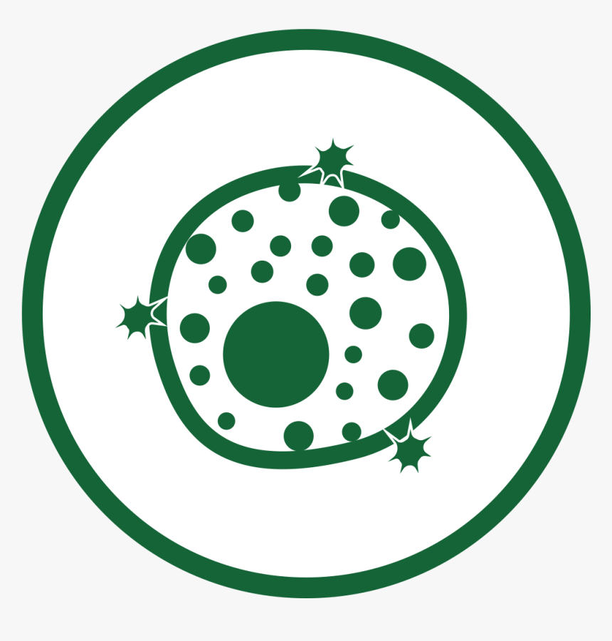Oxidative Stress Icon , Png Download - Oxidative Icon, Transparent Png