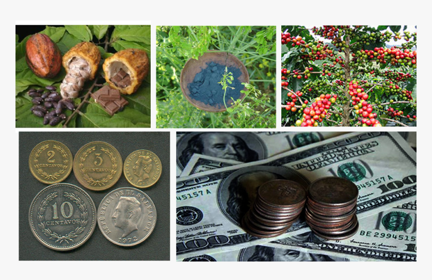 Monedas Y Billetes En Dolares - Que Es Saldo En Contabilidad, HD Png Download