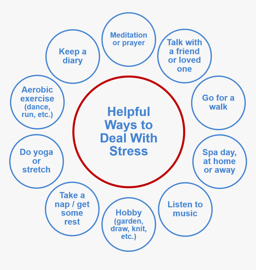 Foveal, HD Png Download