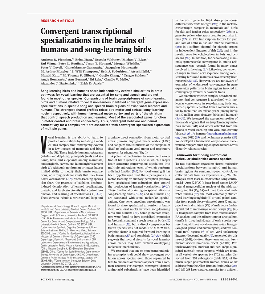 Powerhouse Mechanic , Png Download - Borealis - Partitur - J. Beuys. Gallery Jan Wagner,, Transparent Png