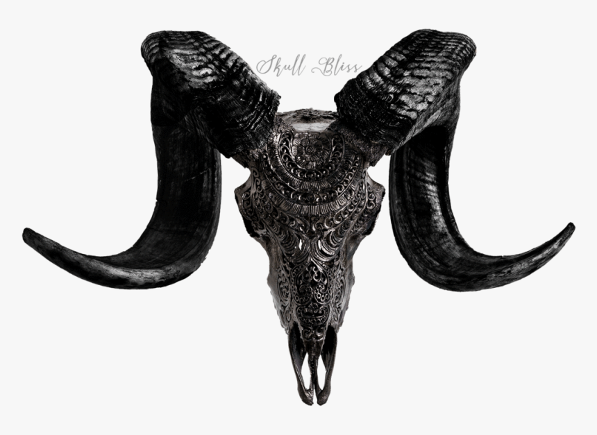 Dark Buffalo Skull, HD Png Download