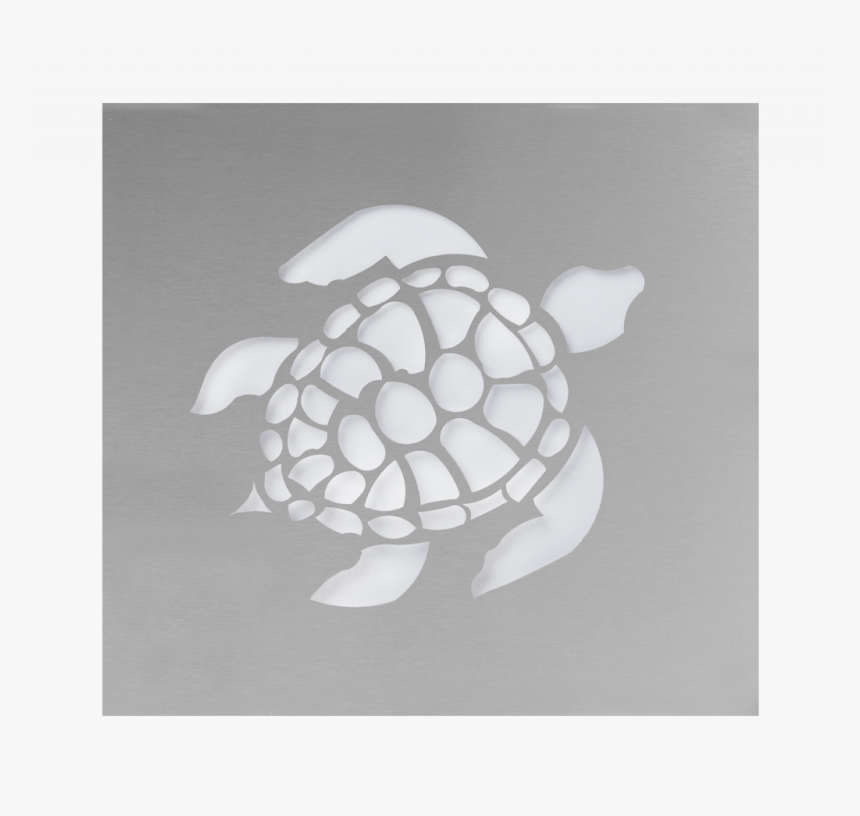 Green Sea Turtle, HD Png Download