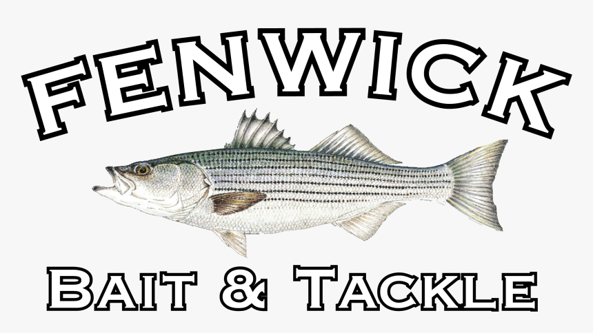 Striper Bass, HD Png Download