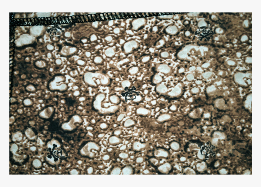 Hawaii Skin Diver Flounder Suit, HD Png Download