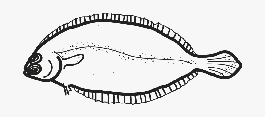 California Flounder, HD Png Download