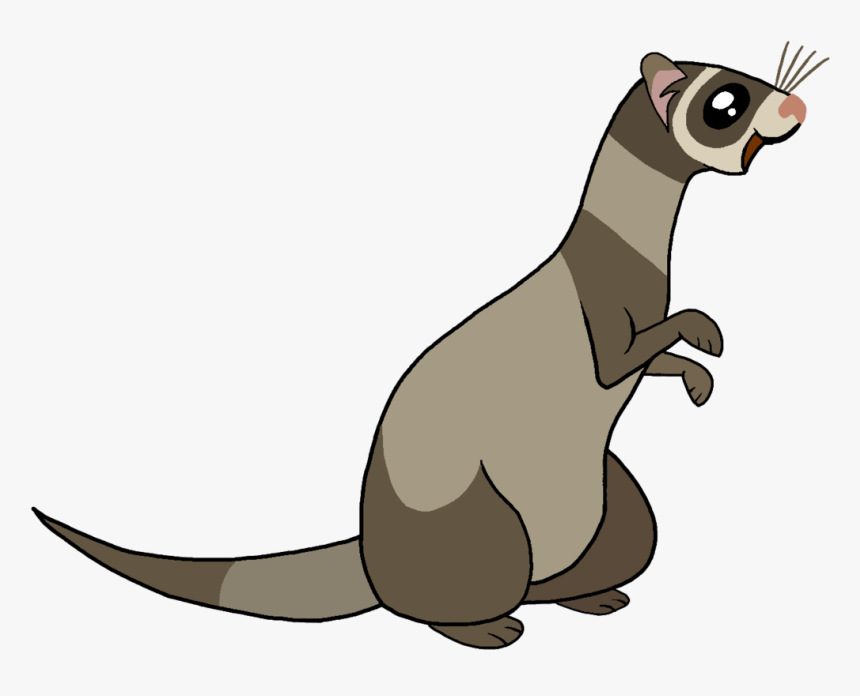 My Little Pony Ferret, HD Png Download