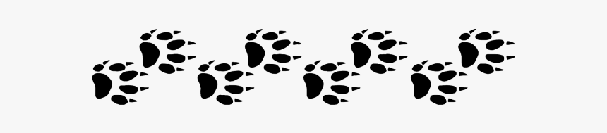 Picture - Ferret Paw Print Png, Transparent Png