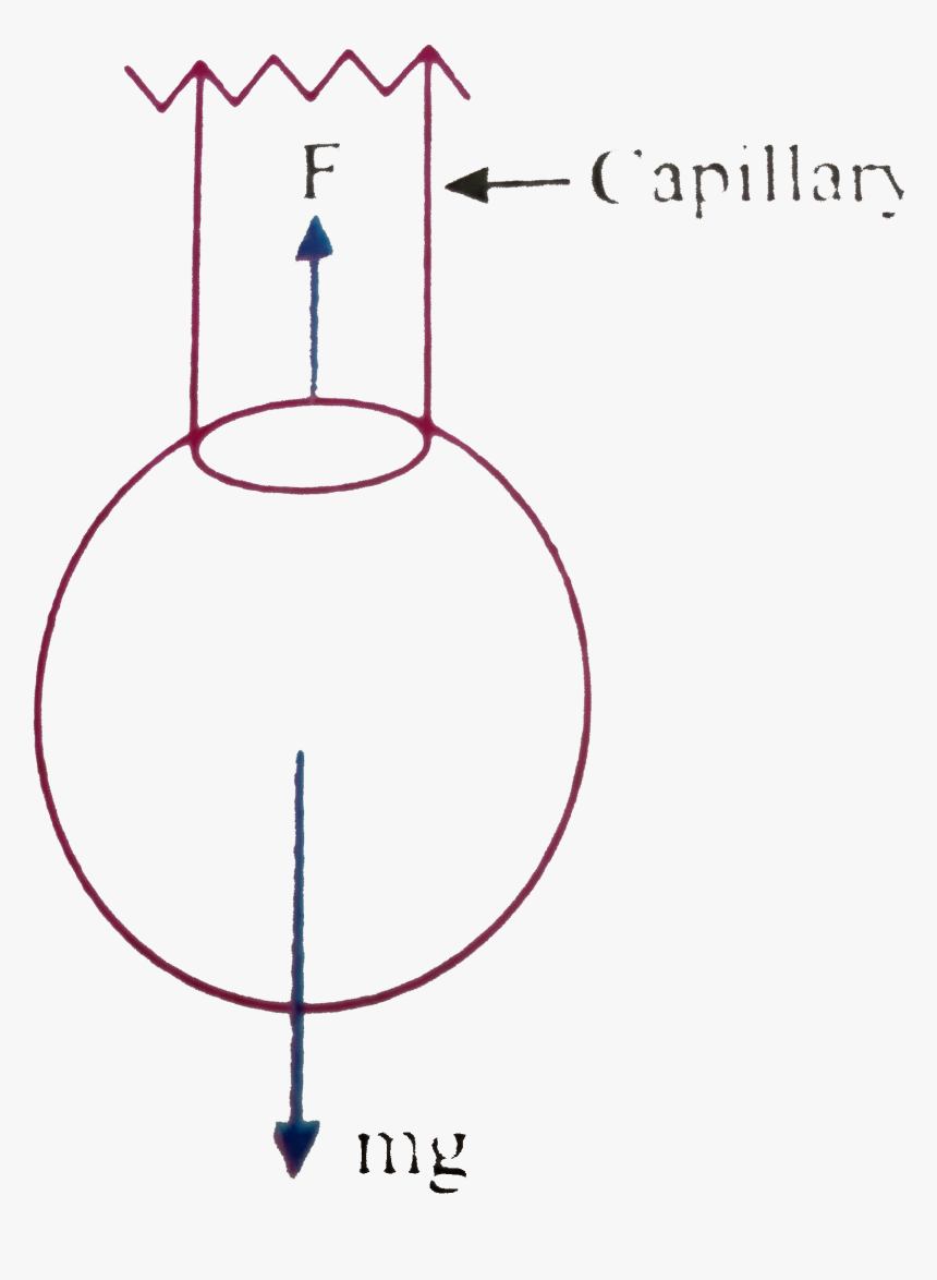 Drips Png, Transparent Png