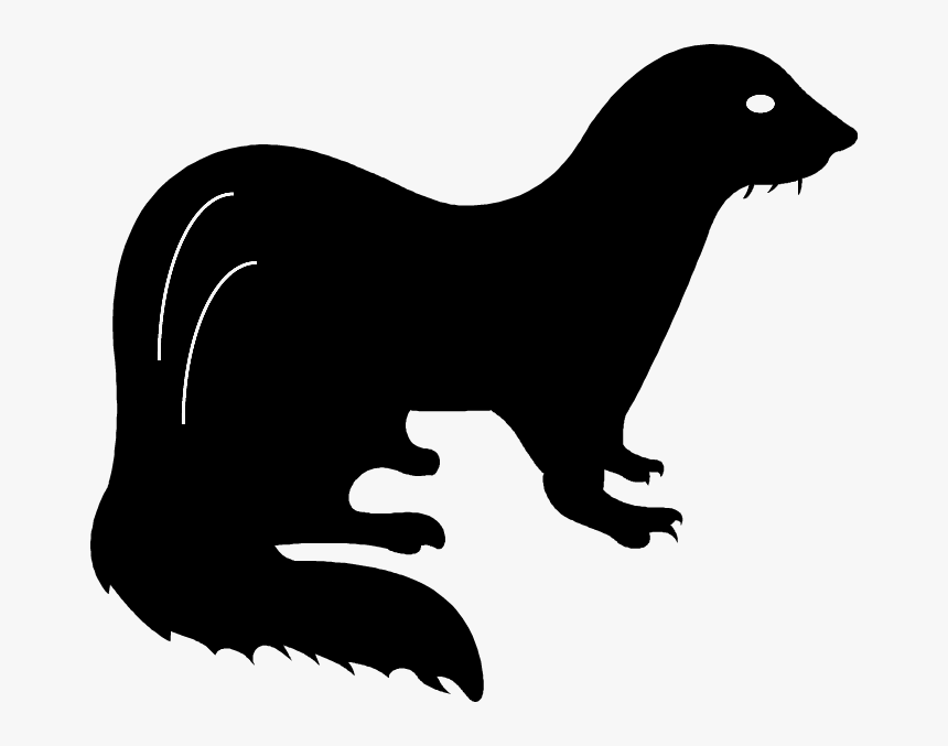 Ferret Silhouette Clip Art - Ferret Clip Art, HD Png Download