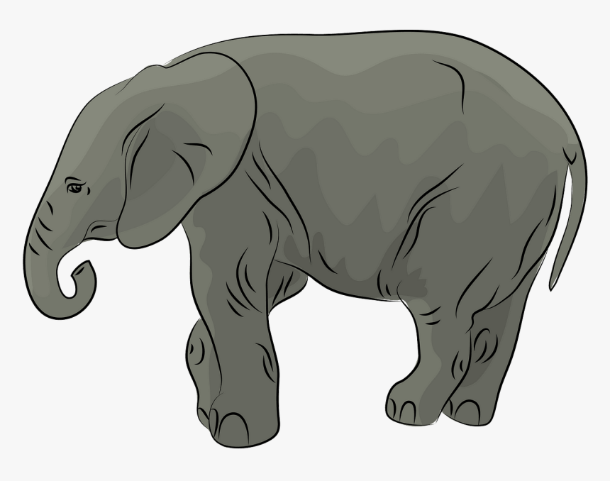 Baby African Elephant Clipart - Elephant Clipart, HD Png Download