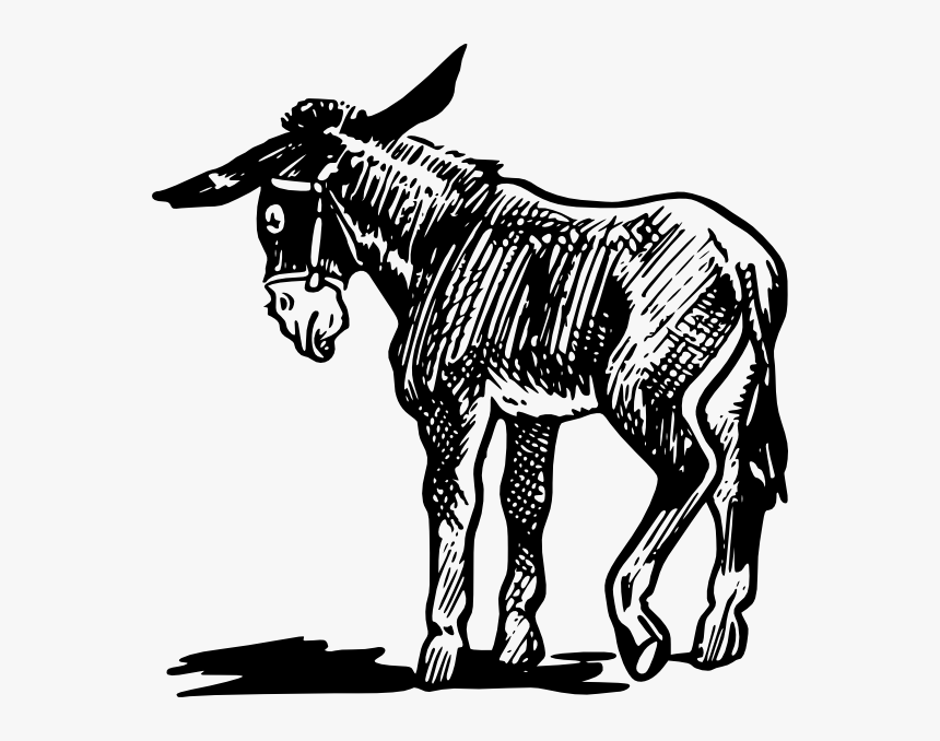 Free Vector Donkey Outline In Black And White Clip - Donkey Clipart, HD Png Download