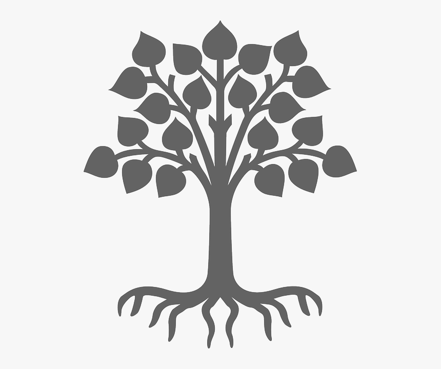 Plant, Silhouette, Grey, Tree, Leaves, Wood, Roots - Child Care, HD Png Download