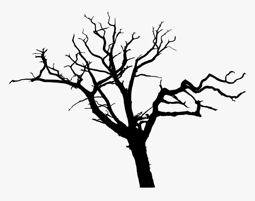 Bare Tree Silhouette Png, Transparent Png