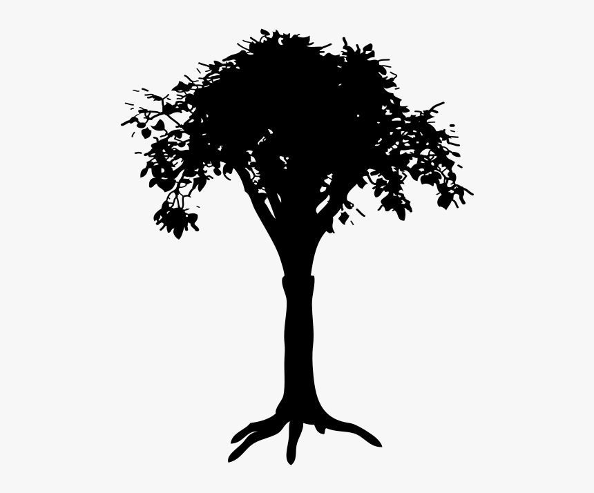 Photography - Tree Drawing Silhouette, HD Png Download