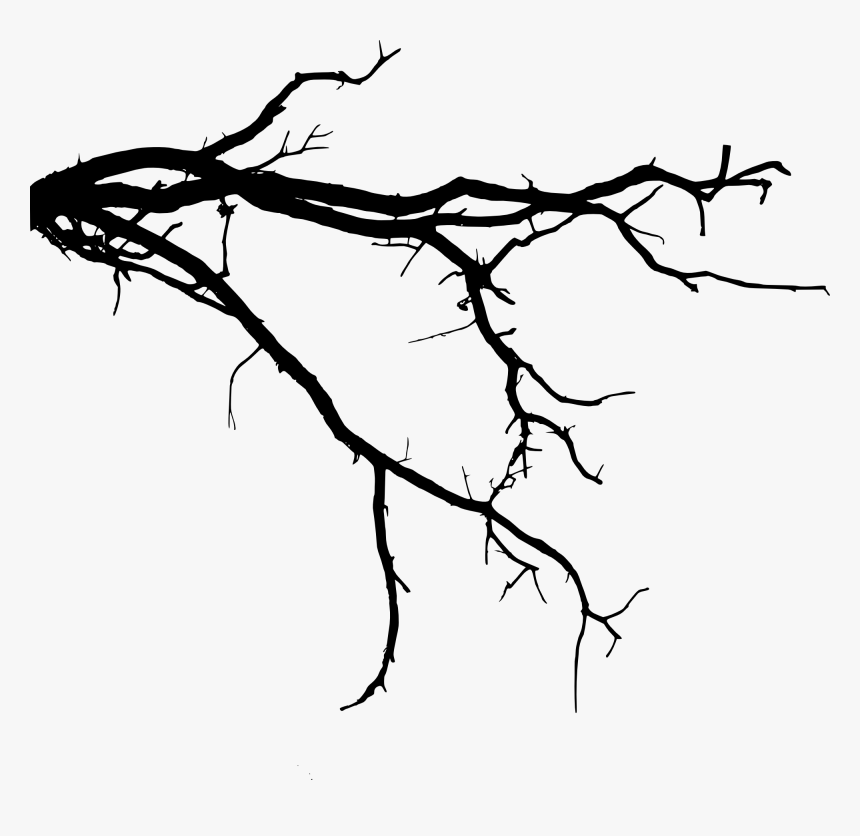 Transparent Tree Roots Clipart - Tree Branch Silhouette Png, Png Download