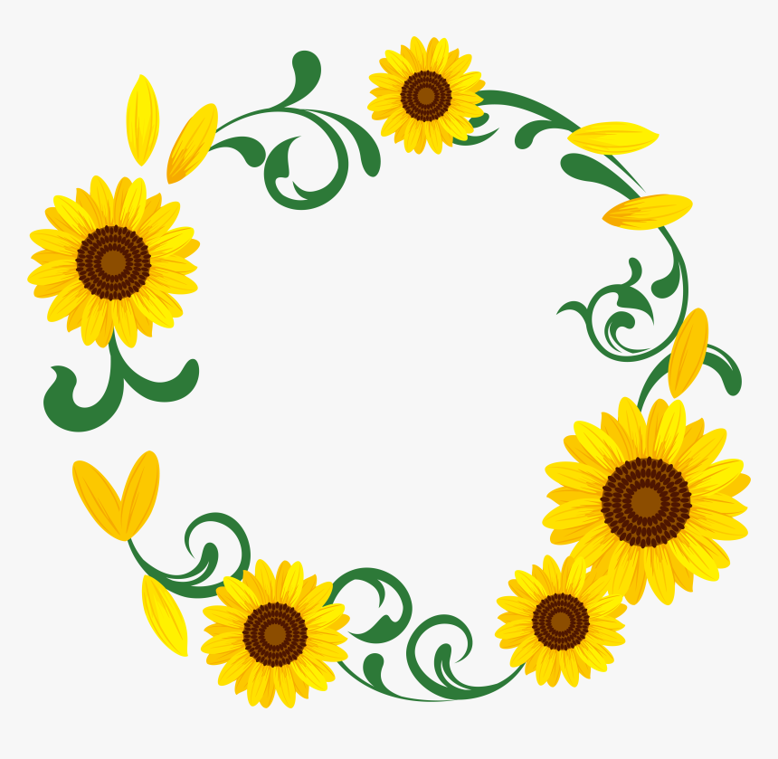 Common Download Illustration Transprent, HD Png Download