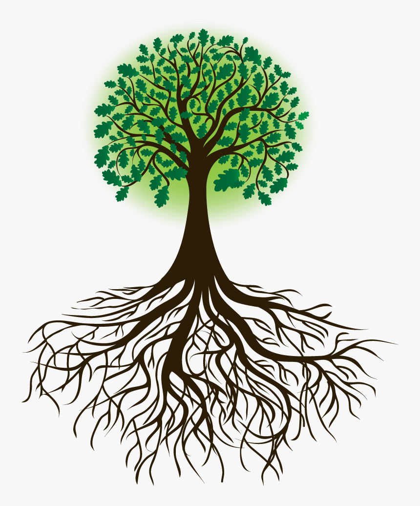 Arbol Raices Borges - Transparent Tree Of Life, HD Png Download