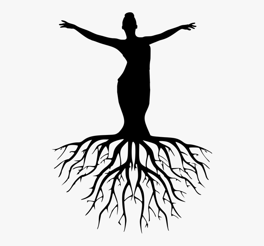 Silhouette Women Tree Yoga Meditation Harmony - Tree With Roots Silhouette Png, Transparent Png