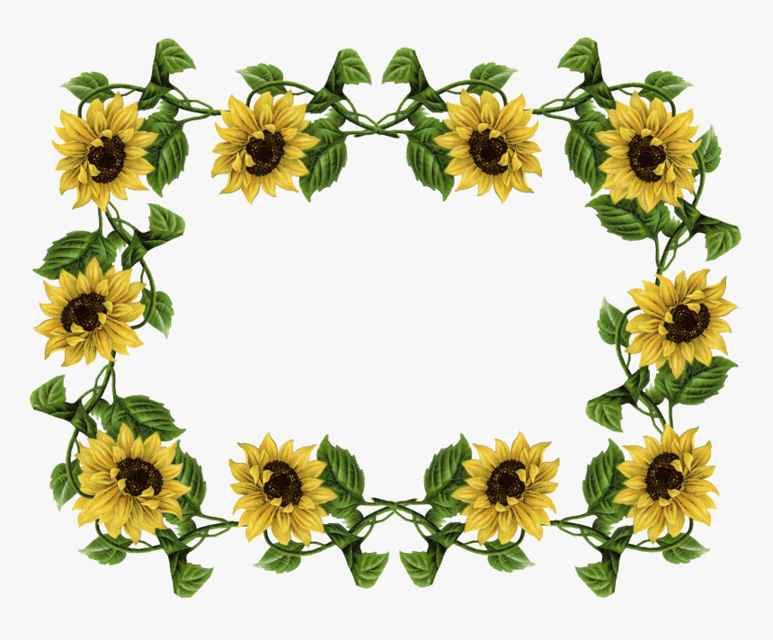 Clipart Sunflower, HD Png Download