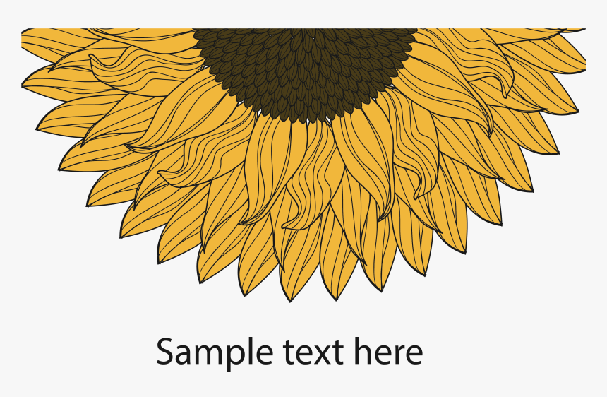 Vector Sunflower Company Brewing Beer Printing Grainworks - Philadelphia Magazine Top Docs 2017, HD Png Download