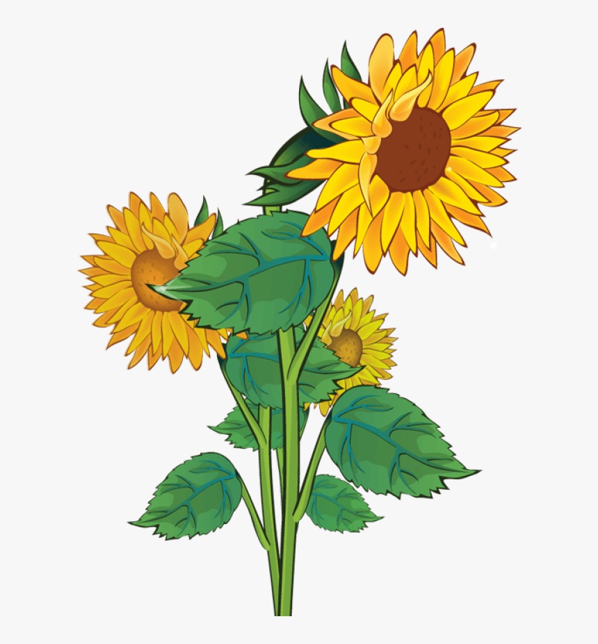 Free Free 139 Cute Sunflower Clipart Png SVG PNG EPS DXF File