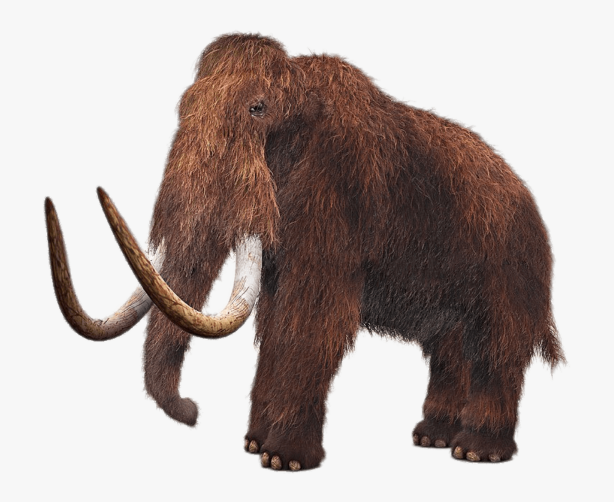 Wooly Mammoth, HD Png Download