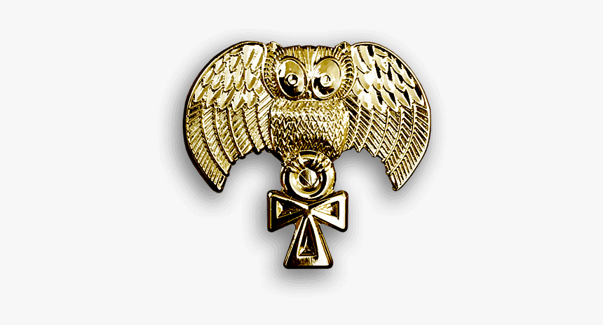 Indian Elephant, HD Png Download