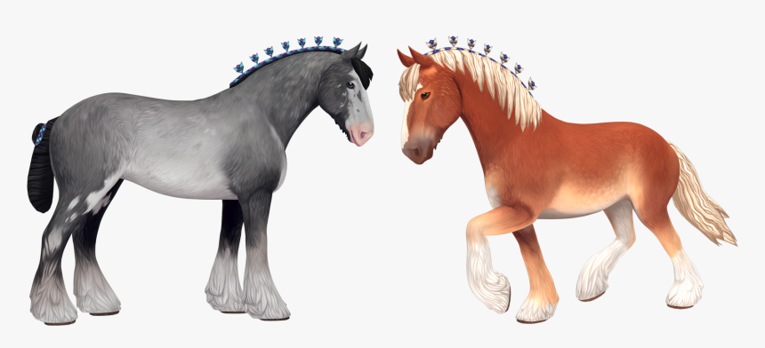 Horse Outline Png, Transparent Png