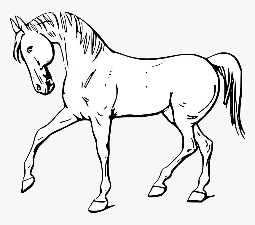 Walking Horse Outline Svg Clip Arts - Horse In Black And White, HD Png Download