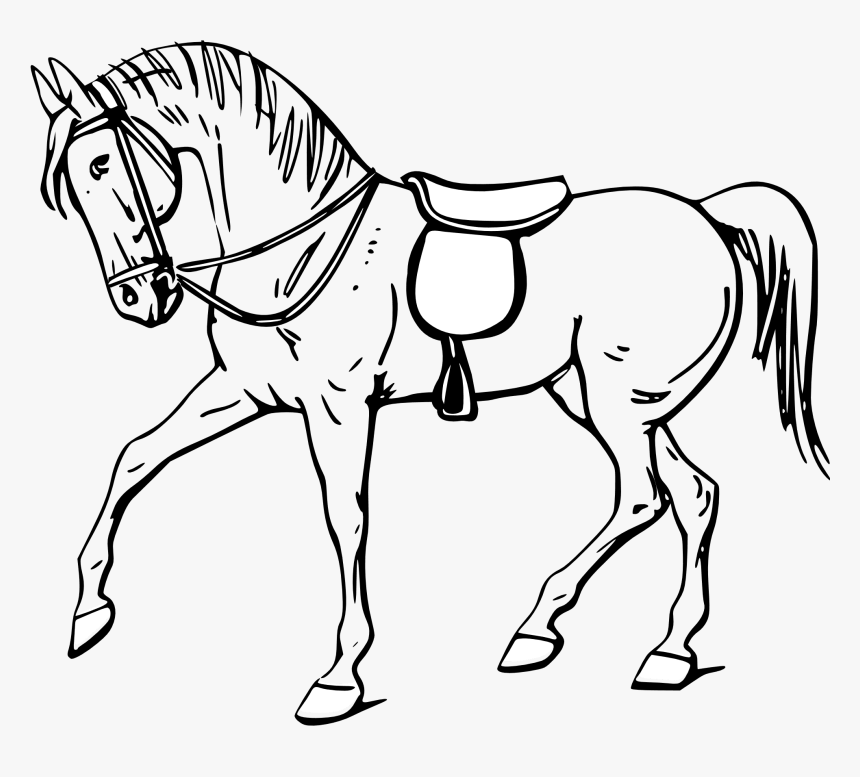 Free Vector Walking Horse Outline Clip Art - Outline Pictures Of Horse, HD Png Download