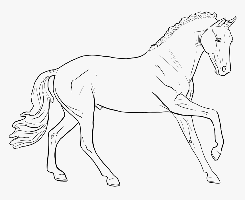 Line Art, HD Png Download
