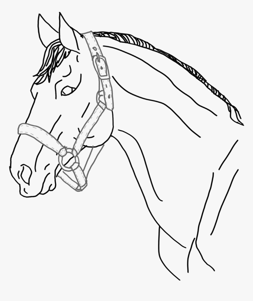 #freetoedit #horse #ftestickers #remixit #horseart - Mane, HD Png Download