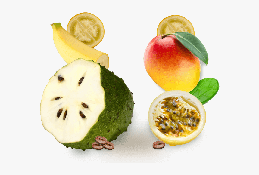 Soursop, HD Png Download