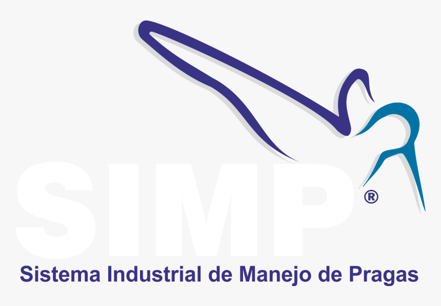 2016 11 - Graphic Design, HD Png Download