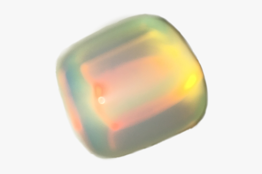 Image - Macro Photography, HD Png Download