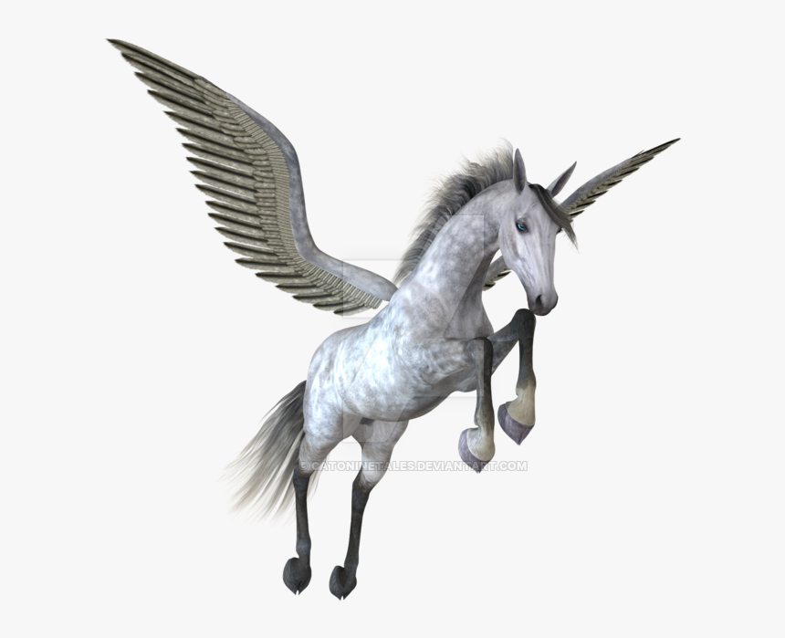 Pegasus Png Image - Pegasus Png, Transparent Png